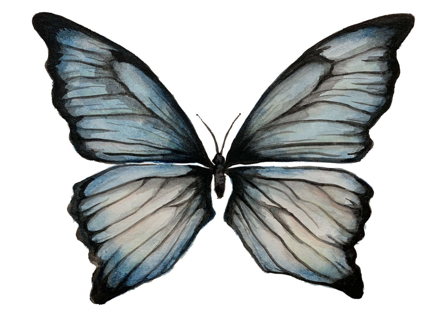 Butterfly Vinyl Sticker